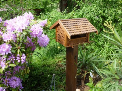 Apartment 2-Bettwohnung Wegelnburg - Outdoor photo 16