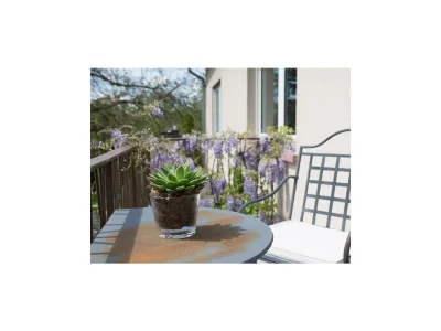 Apartment Quartier I - Outdoor photo 20