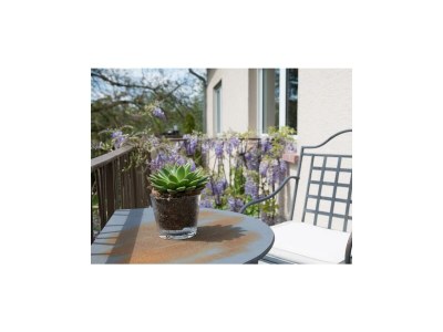 Apartment Quartier II - Outdoor photo 20