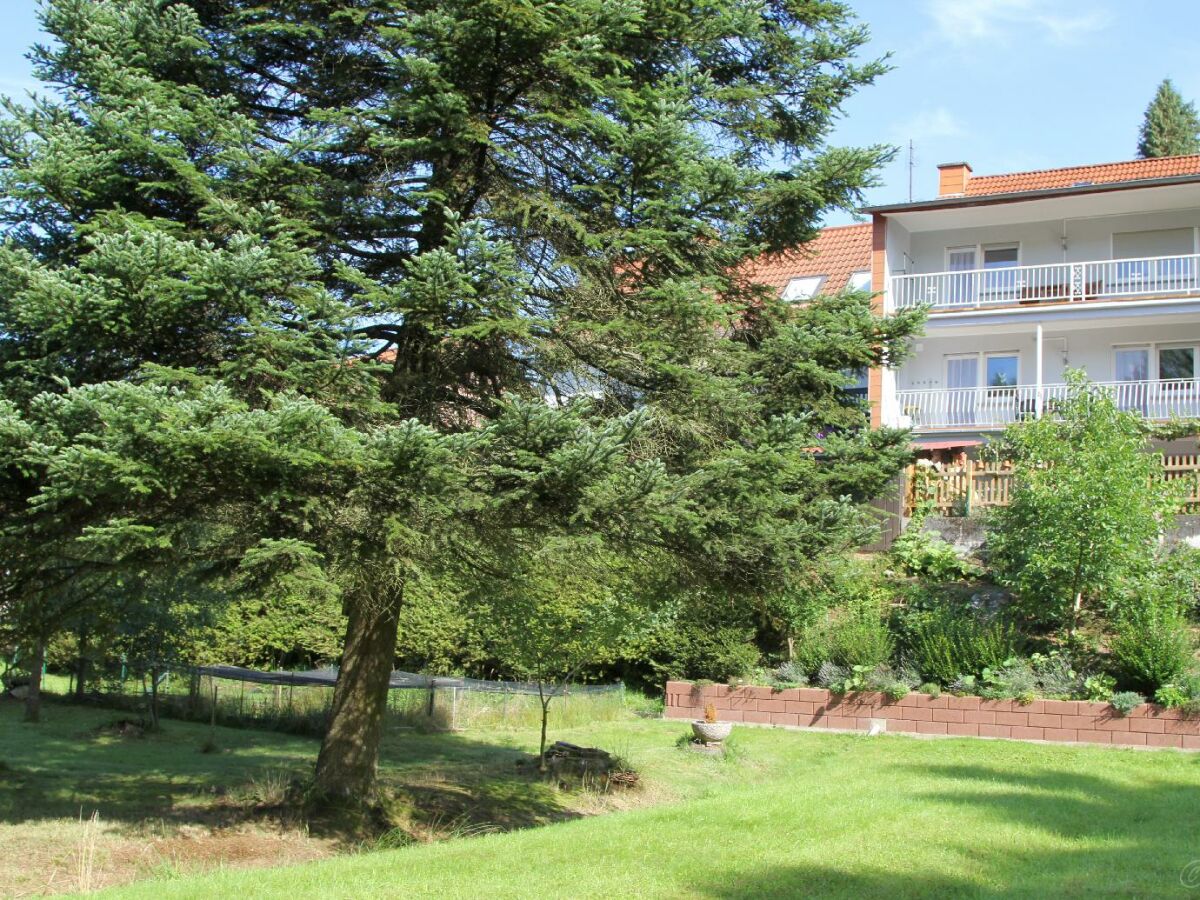 Apartment Ferienhaus "Landhaus Am Wiesengrund" - Outdoor photo 2