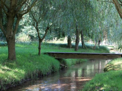Apartment Ferienhaus "Landhaus Am Wiesengrund" - Outdoor photo 6