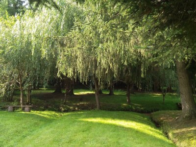 Apartment Ferienhaus "Landhaus Am Wiesengrund" - Outdoor photo 7