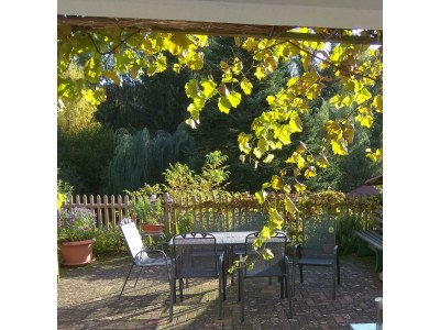 Apartment Ferienhaus "Landhaus Am Wiesengrund" - Outdoor photo 8