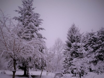 Apartment Ferienhaus "Landhaus Am Wiesengrund" - Outdoor photo 9