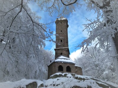 Apartment Ferienhaus "Landhaus Am Wiesengrund" - Outdoor photo 14