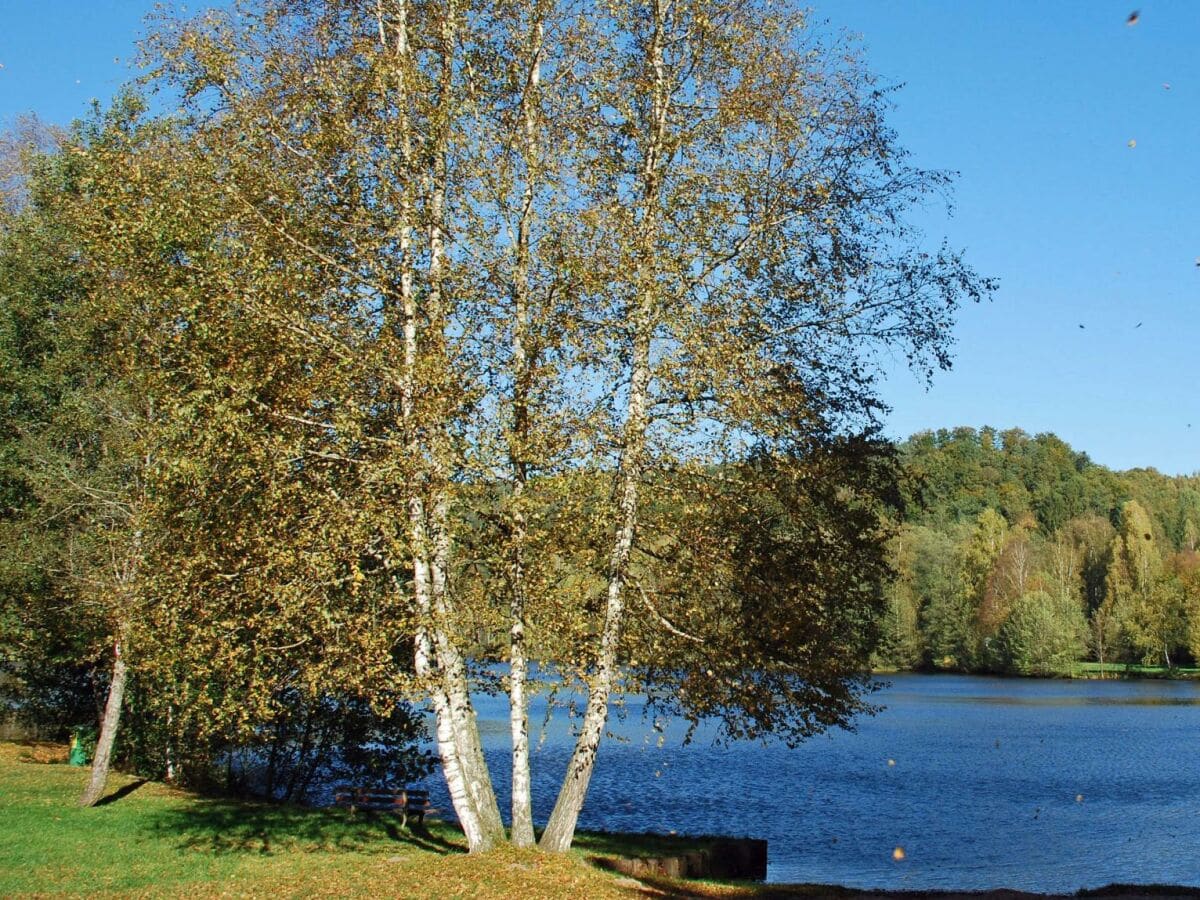 Apartment Appartement/Fewo, Dusche, WC, Nichtraucher