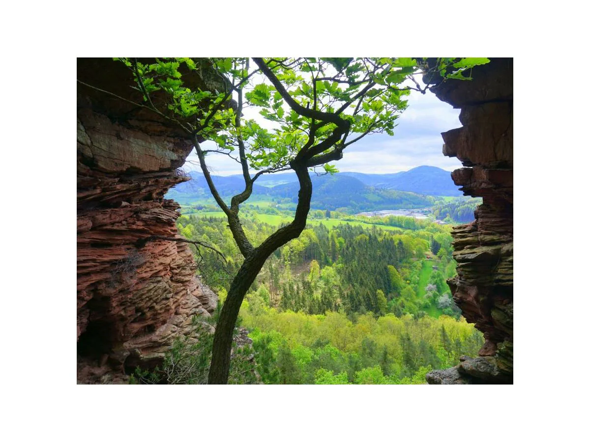 Apartment Appartement/Fewo, Dusche, WC, Nichtraucher - Outdoor photo 4