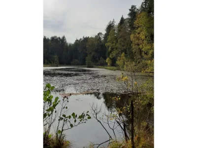 Apartment Appartement/Fewo, Dusche, WC, Nichtraucher - Outdoor photo 9