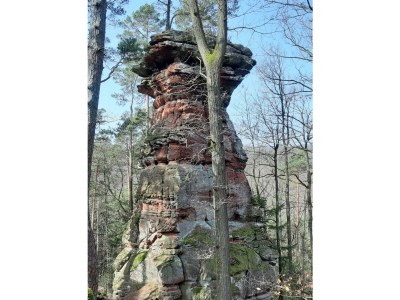 Apartment Appartement/Fewo, Dusche, WC, Nichtraucher - Outdoor photo 14