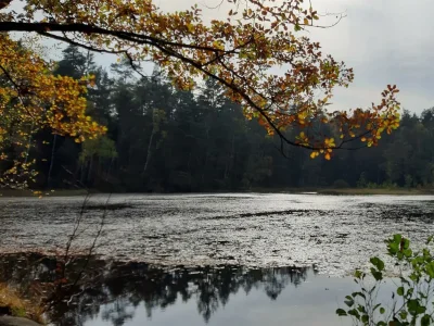 Apartment Appartement/Fewo, Dusche, WC, Nichtraucher - Outdoor photo 15
