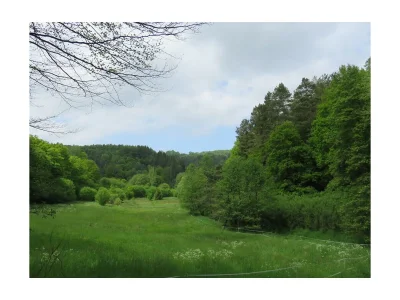 Apartment Ferienhaus waldReich - Outdoor photo 24