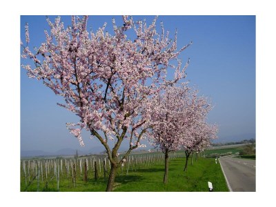 Holiday room Doppelzimmer Dusche/WC - Outdoor photo 7