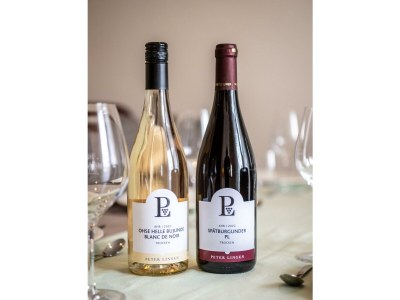 Apartment Ferienwohnung bis 4 Personen/Sonnenberg - Outdoor photo 5