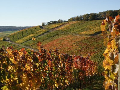 Apartment Ferienwohnung "Kiep" - Outdoor photo 6
