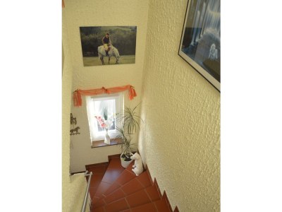 Apartment 2-Bett-Ferienwohnung, Dusche/WC, 1 Schlafraum - Features photo 34