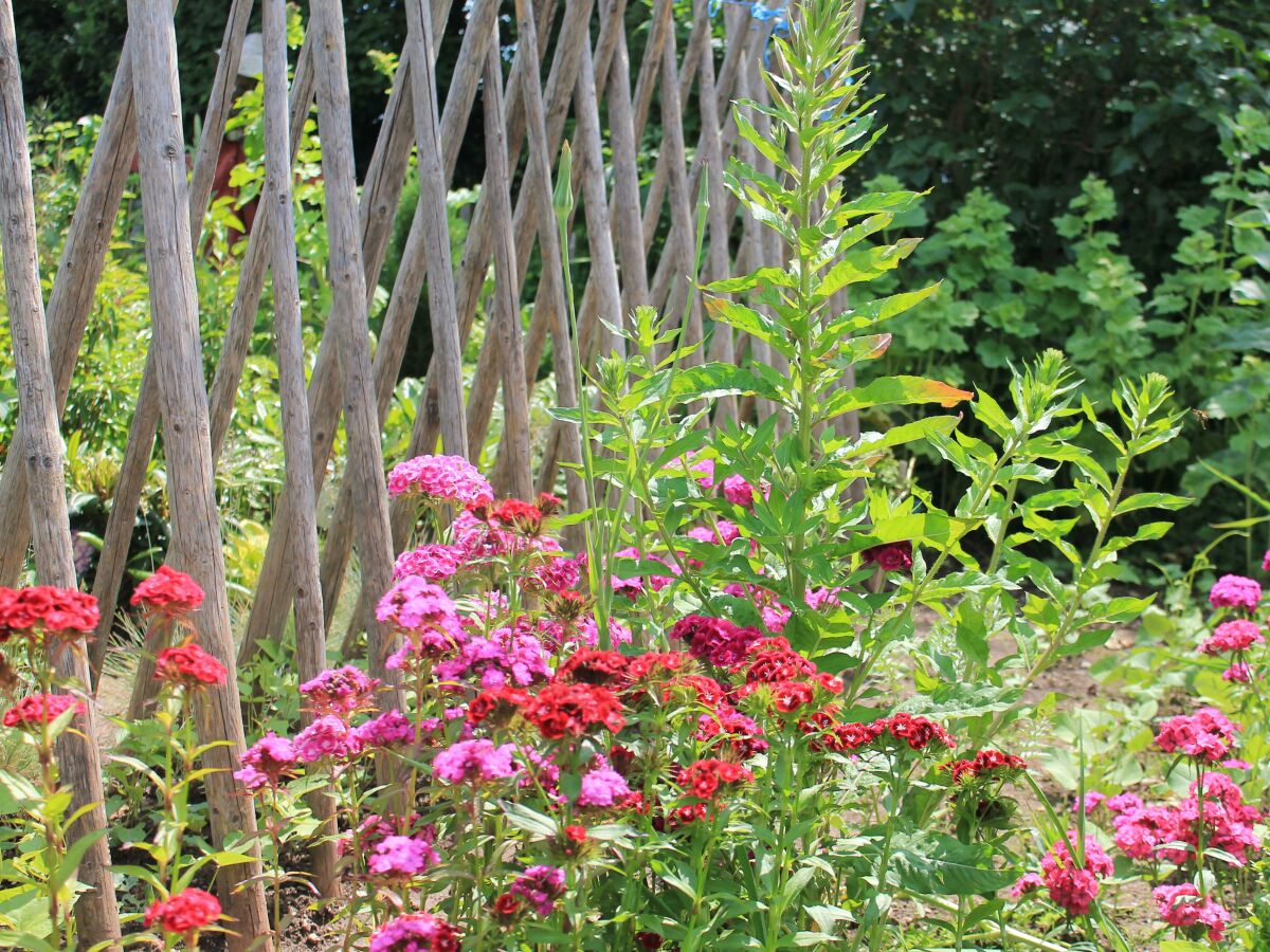 Apartment 6-Bett-Ferienwohnung Kornkammer - Outdoor photo 2