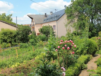 Apartment 6-Bett-Ferienwohnung Kornkammer - Outdoor photo 10
