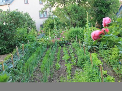 Apartment 6-Bett-Ferienwohnung Kornkammer - Outdoor photo 11