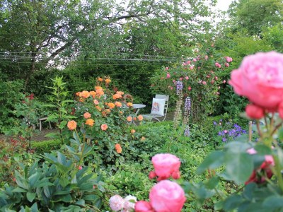 Apartment 6-Bett-Ferienwohnung Kornkammer - Outdoor photo 13