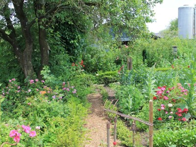 Apartment 6-Bett-Ferienwohnung Kornkammer - Outdoor photo 16