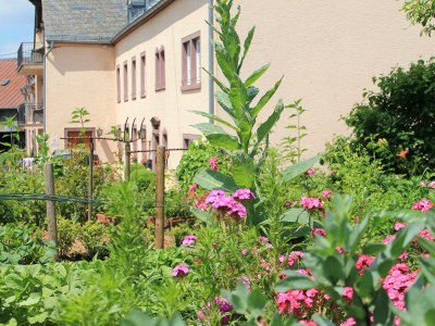 Apartment 6-Bett-Ferienwohnung Kornkammer - Outdoor photo 17