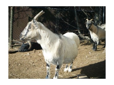 Apartment 4-Bett-Ferienwohnung - Outdoor photo 5