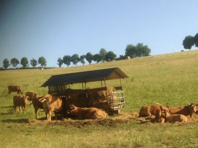 Apartment 4-Bett-Ferienwohnung - Outdoor photo 12