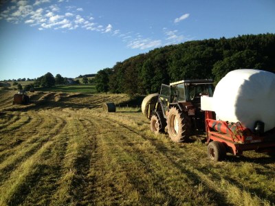 Apartment 4-Bett-Ferienwohnung - Outdoor photo 13