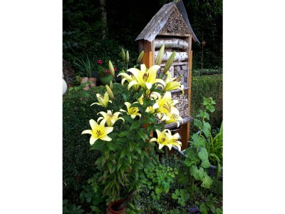 Apartment 5-Bett-Ferienwohnung  Dusche/WC, 3 Schlafräume - Outdoor photo 28