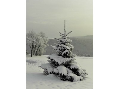 Apartment 5-Bett-Ferienwohnung  Dusche/WC, 3 Schlafräume - Outdoor photo 33