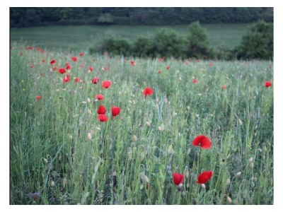 Apartment 6-Bett-Ferienwohnung Dusche/WC, Nichtraucher - Outdoor photo 21