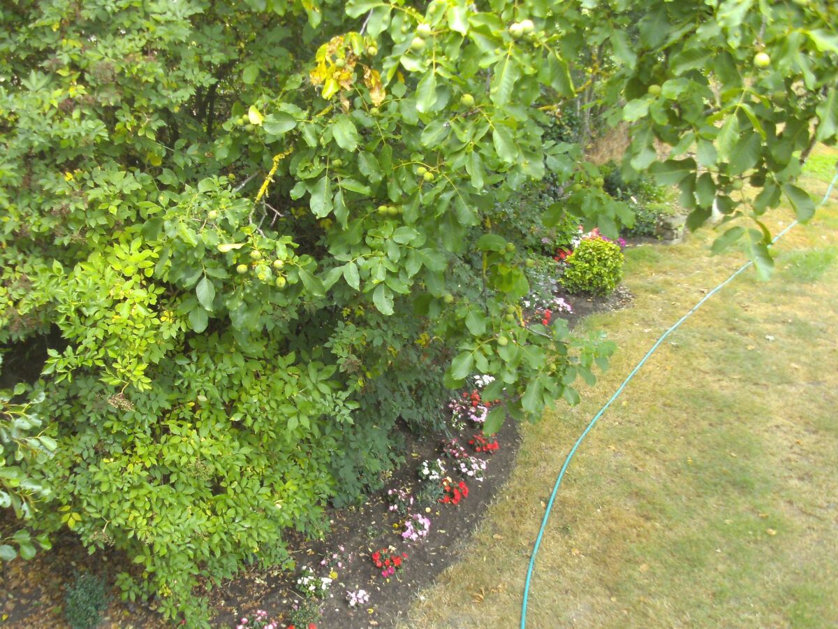 Apartment 2-Bett-Ferienappartement mit Bad/WC - Outdoor photo 3