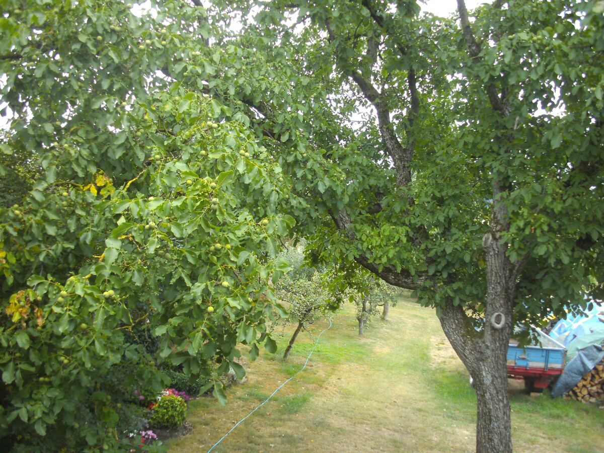 Apartment 2-Bett-Ferienappartement mit Bad/WC - Outdoor photo 5