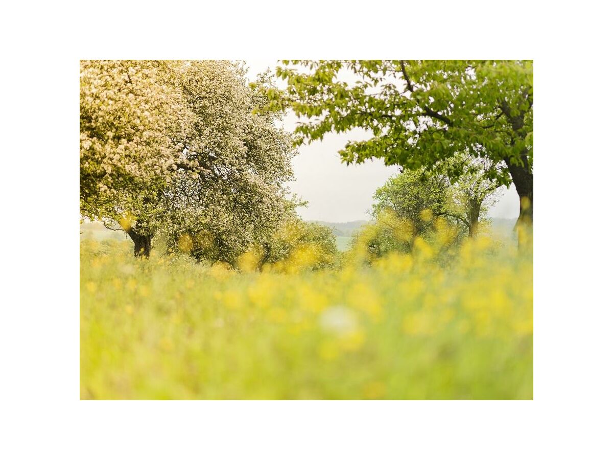 Apartment 2-Bett-Ferienwohnung Holzschober mit Sauna - Outdoor photo 4