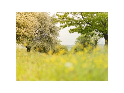 Apartment 2-Bett-Ferienwohnung Holzschober mit Sauna - Outdoor photo 4
