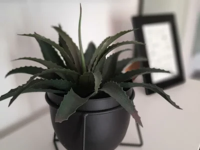 Apartment 2-Bett-Ferienwohnung Bad/WC, 1 Schlafraum - Features photo 20