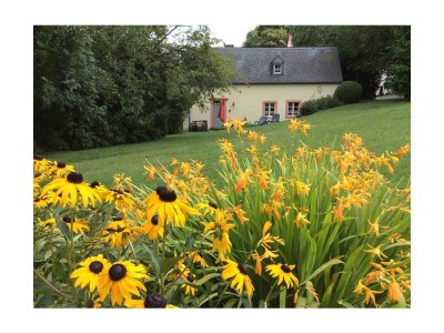 Apartment 4-Bett-Ferienhaus Altes Backhaus - Outdoor photo 3