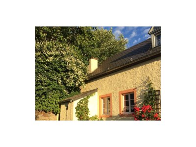 Apartment 4-Bett-Ferienhaus Altes Backhaus - Outdoor photo 7