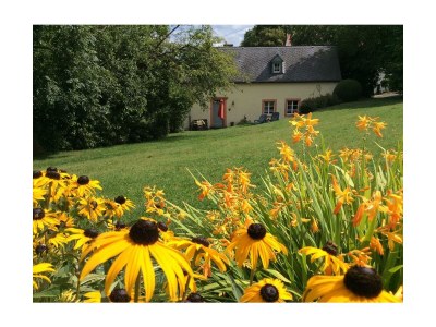 Apartment 4-Bett-Ferienhaus Altes Backhaus - Features photo 23