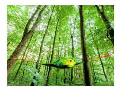 Apartment Appartement Sonnenschein bis 3 Personen - Outdoor photo 37