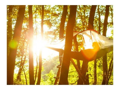 Apartment Appartement Sonnenschein bis 3 Personen - Outdoor photo 38