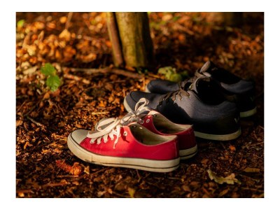 Apartment Appartement Sonnentraum bis 5 Personen - Outdoor photo 35