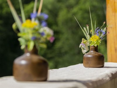 Apartment Appartement Sonnentraum bis 5 Personen - Outdoor photo 61