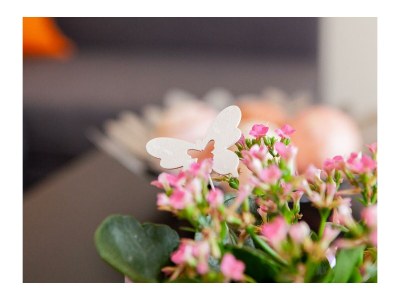 Apartment Appartement Sonnentraum bis 5 Personen - Features photo 71