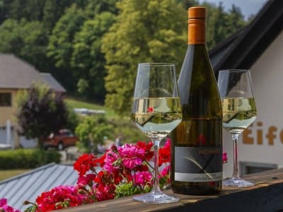 Apartment Appartement Sonnentraum bis 5 Personen - Features photo 78