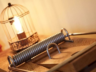 Apartment Ferienwohnung Waldmaus - 2 N. - Outdoor photo 21