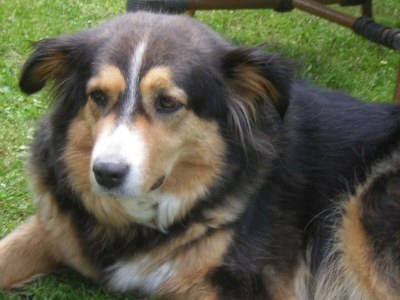 Apartment 4-Bett-Ferienwohnung Sola - Outdoor photo 26