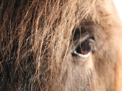 Apartment 4-Bett-Ferienwohnung Sola - Outdoor photo 31