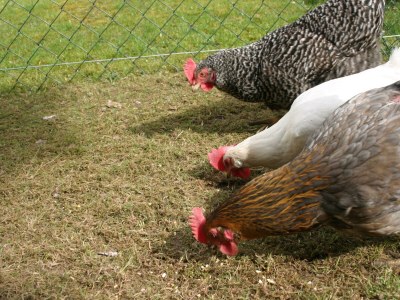 Apartment 2-Bett-Apartement Litla - Outdoor photo 38