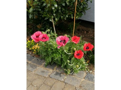 Apartment 2-Bett-Apartement Litla - Outdoor photo 40